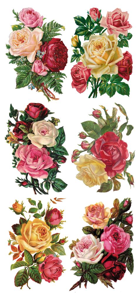 Printable Flowers For Decoupage